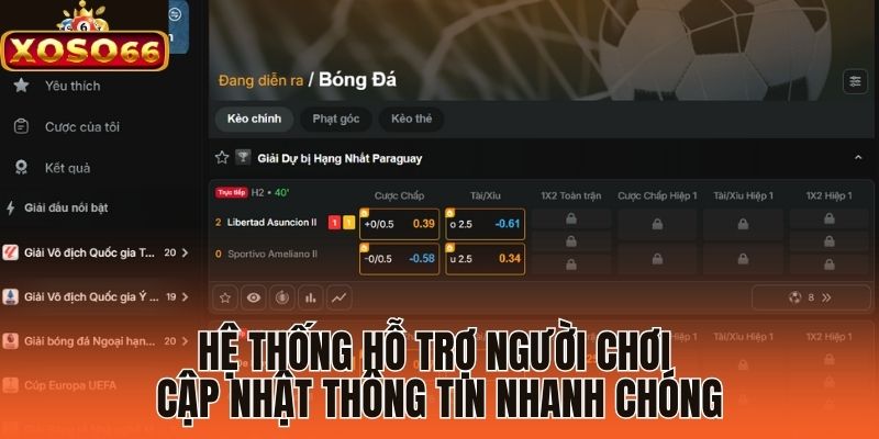 Hệ thống hỗ trợ người chơi cập nhật thông tin nhanh chóng